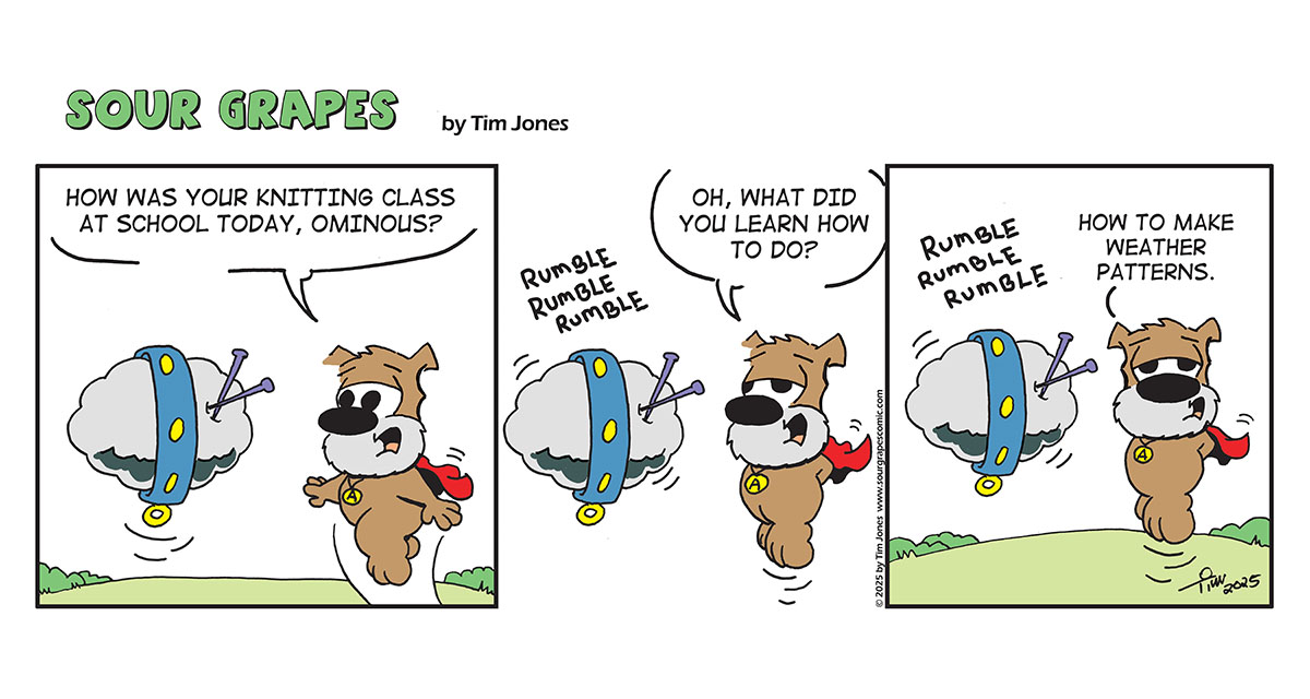 Sour Grapes Comic Strip - Knitting 8-18-25
