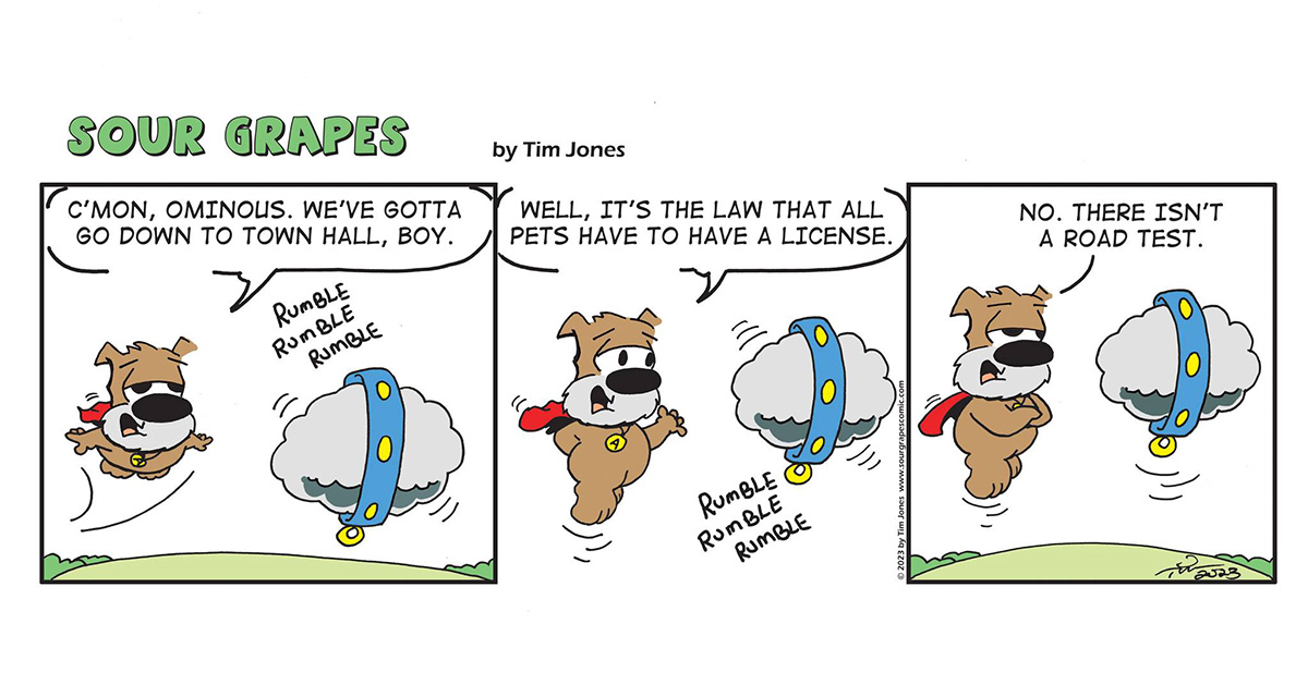 Sour Grapes Strip - License 10-6-23